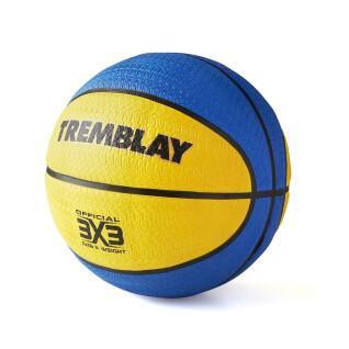 Basketbal Tremblay CT