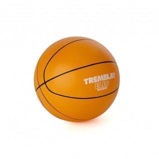 Schuimbal Tremblay eleph’ basket