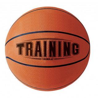 Tremblaytraining basketbal