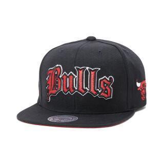 Pet Chicago Bulls nba old english