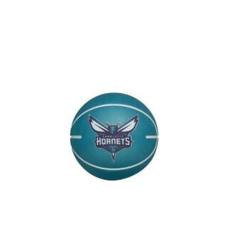 Stuiterende bal nba dribbelen Charlotte Hornets