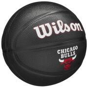 Mini Basketbal nba Chicago Bulls
