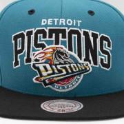Pet Detroit Pistons hwc team arch