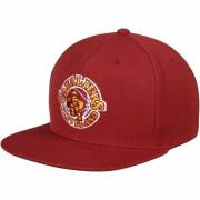 Pet Cleveland Cavaliers wool solid 2