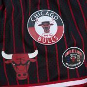 Korte broek Chicago Bulls Hometown Mesh