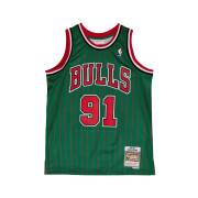 Jersey Chicago Bulls Swingman Dennis Rodman 1996/07