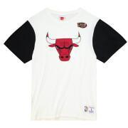 T-shirt kleur geblokt Chicago Bulls 2021/22