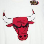 T-shirt kleur geblokt Chicago Bulls 2021/22