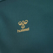 Hooded sweatshirt Hummel hmlCIMA