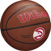 Basketbal Atlanta Hawks NBA Team Alliance