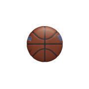 Basketbal Detroit Pistons NBA Team Alliance