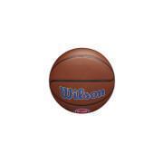 Basketbal Detroit Pistons NBA Team Alliance
