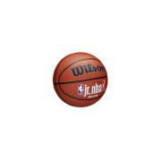 BasketbalWilson NBA Fam
