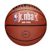 Ballon Wilson NBA Fam